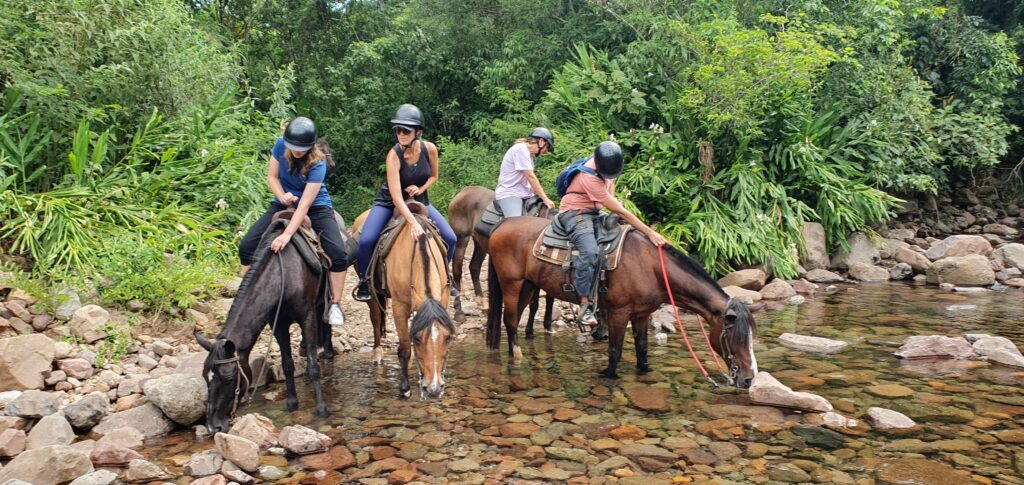 Cavalgada nos Canyons