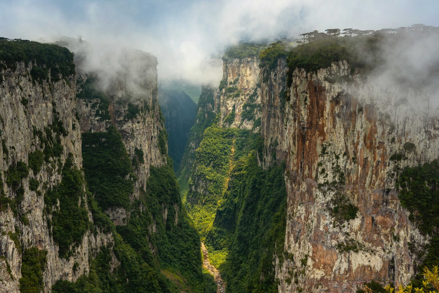 Canyon Itaimbezinho com paredões verticais
